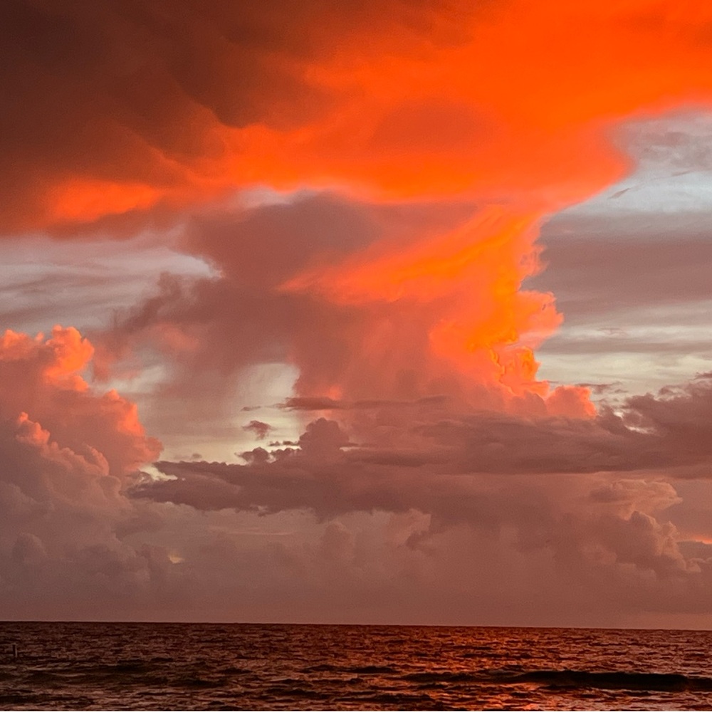 Meet your Posher, Nichole